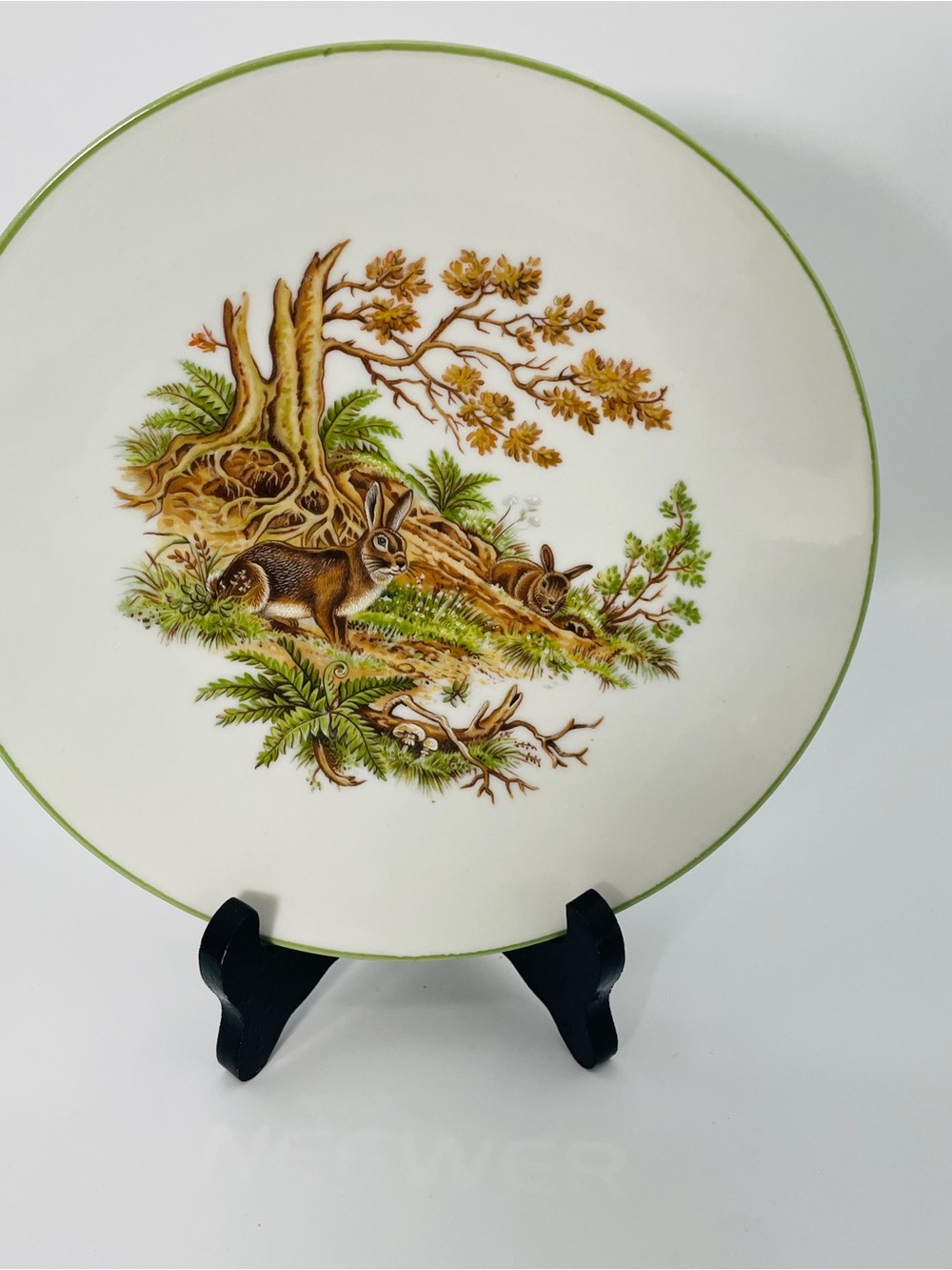 Bareuther Waldsassen Bavaria Germany Woodland Wildlife Salad Plates Set of 4 - Picture 7 of 10